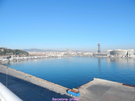 DSCN5603