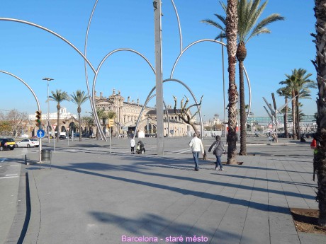 DSCN5605
