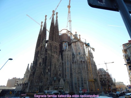 DSCN5626
