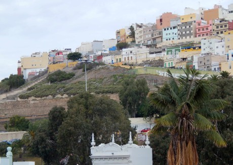 DSCN5067