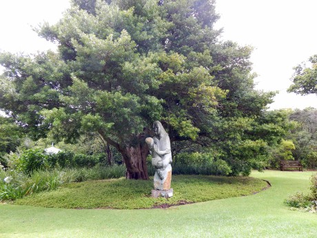 DSCN5527