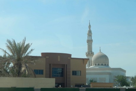 DSCN1482