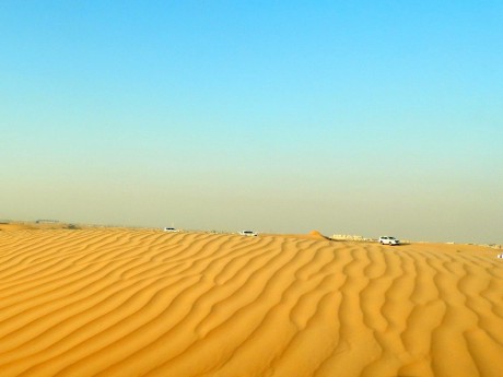 DSCN2307