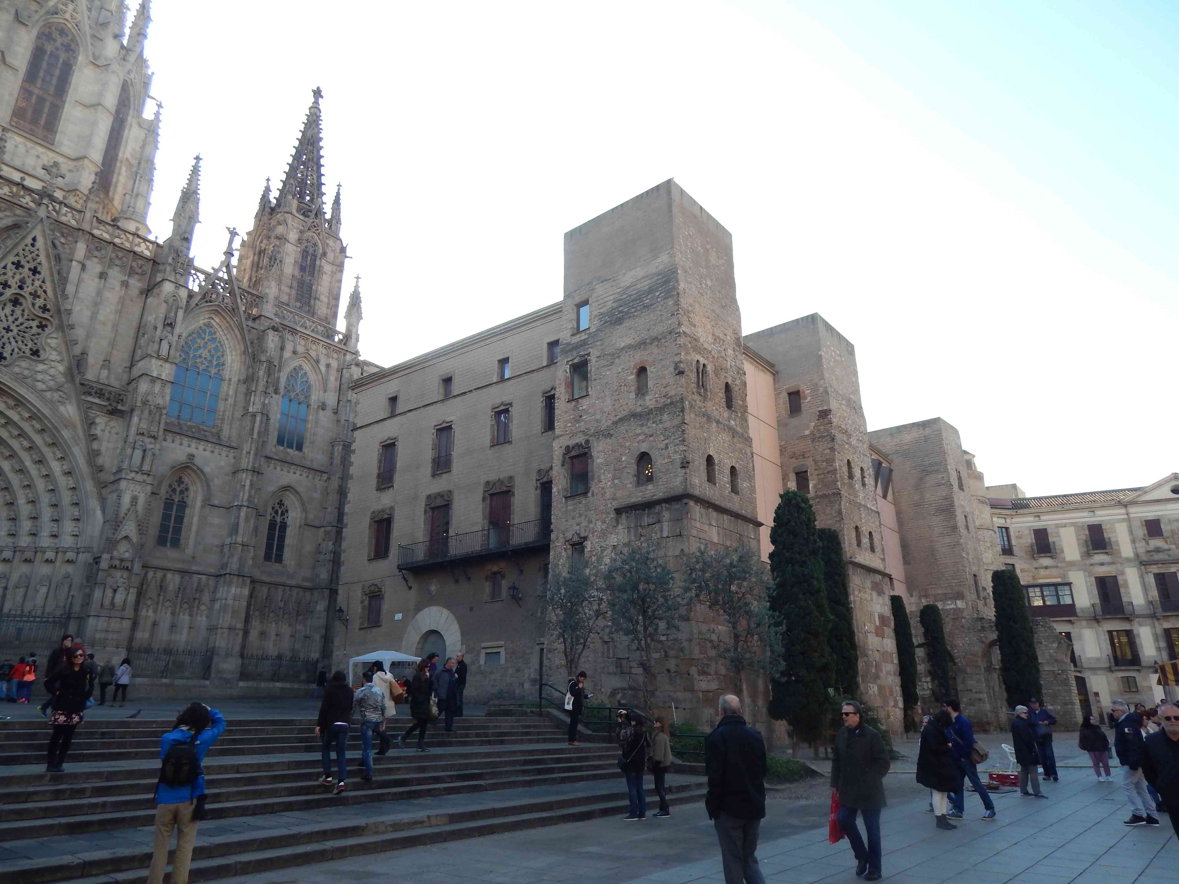 DSCN5621