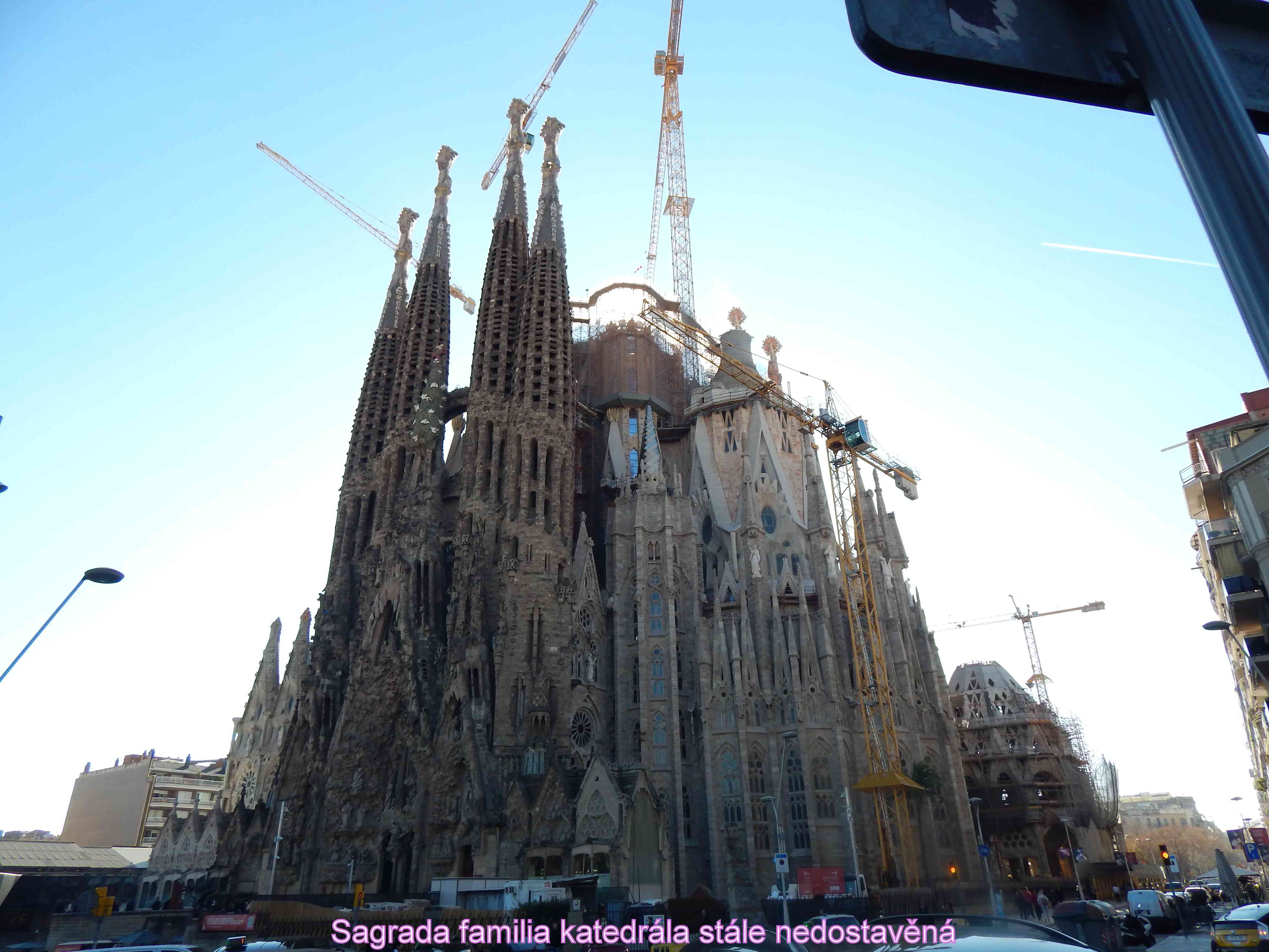 DSCN5626