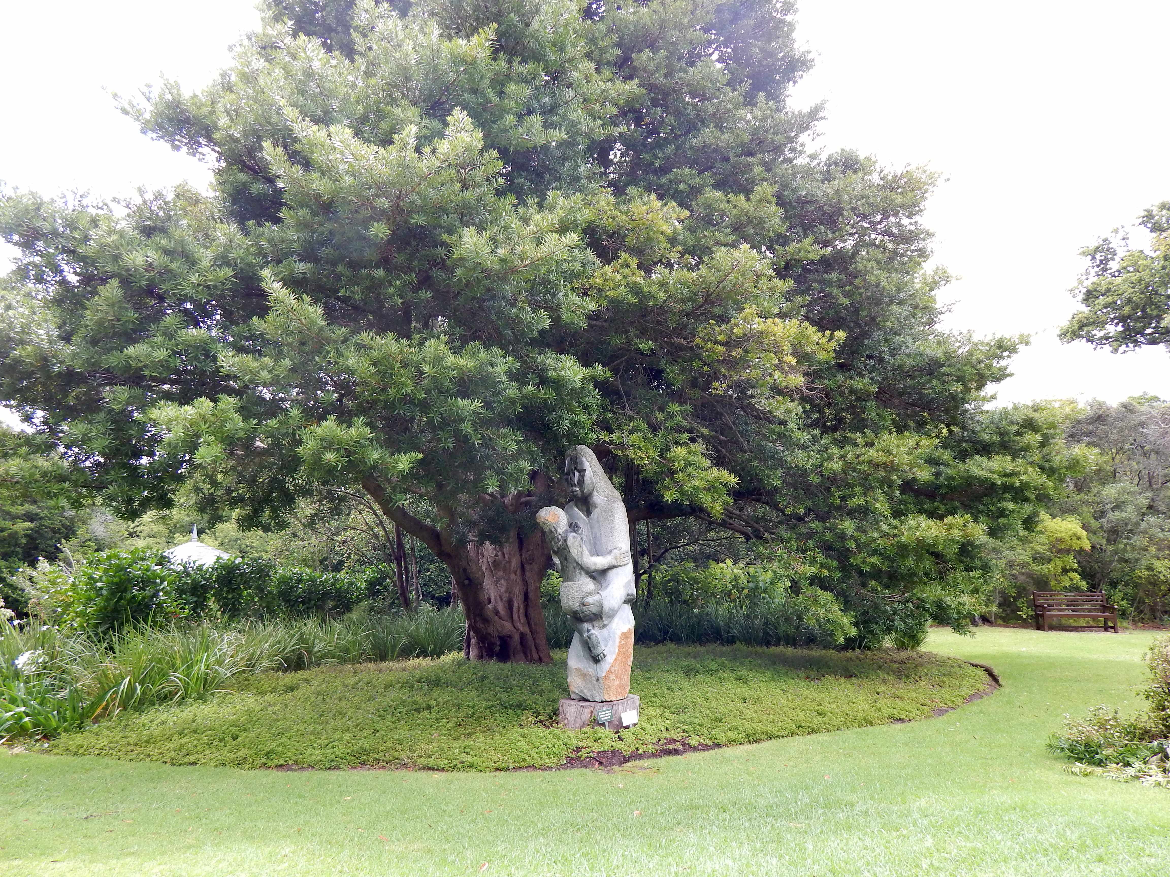 DSCN5527