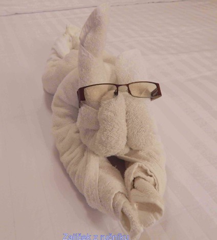 dscn5961.jpg