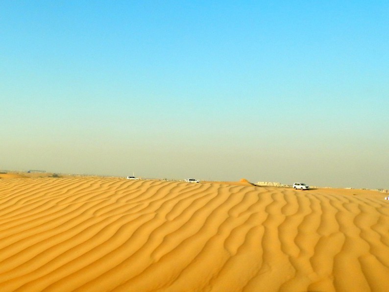 dscn2307.jpg