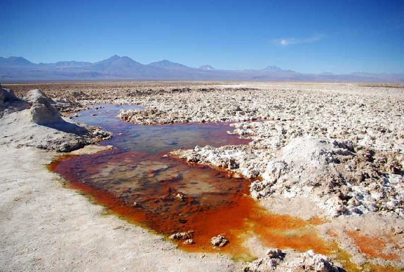 dro-de-atacama-chile-south-america-san-pedro-de-atacama.jpg