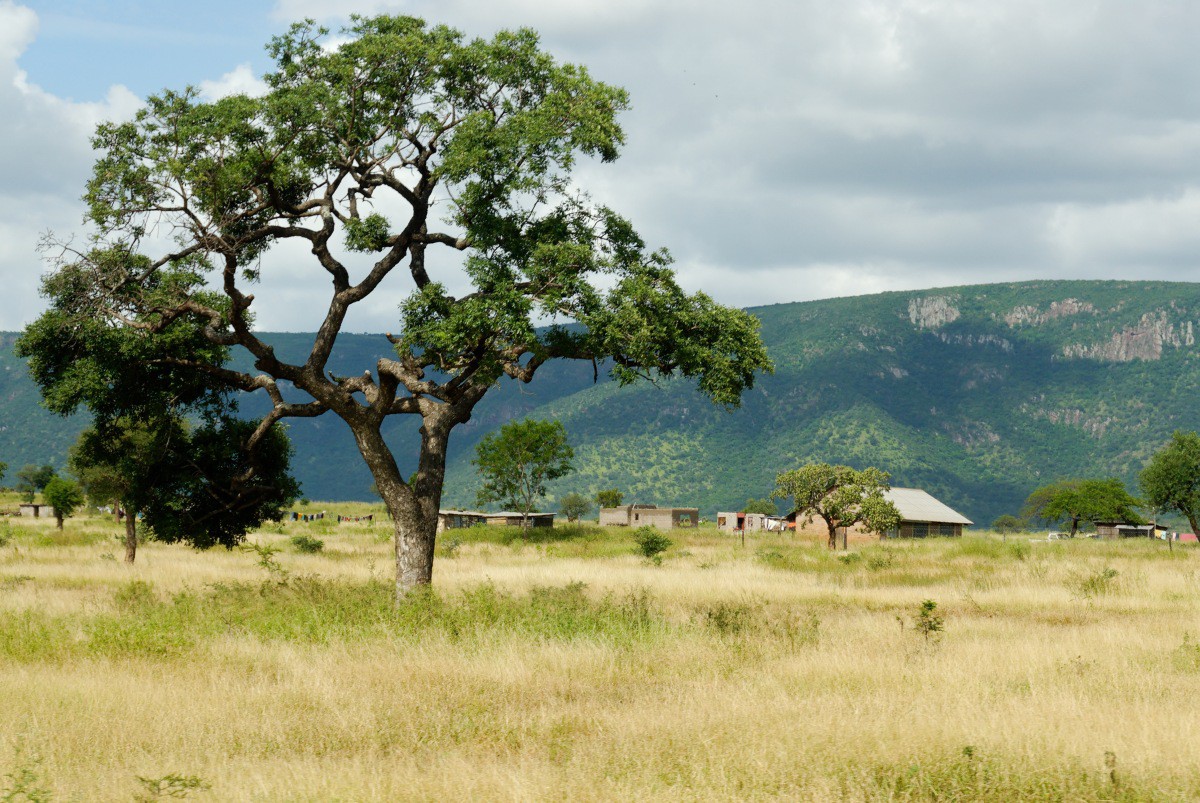 swaziland_wallpaper.jpg