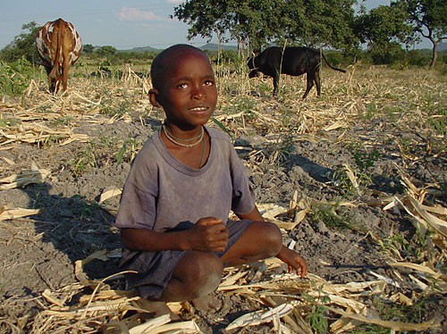 full-zimbabwe-boy-in-field.jpg