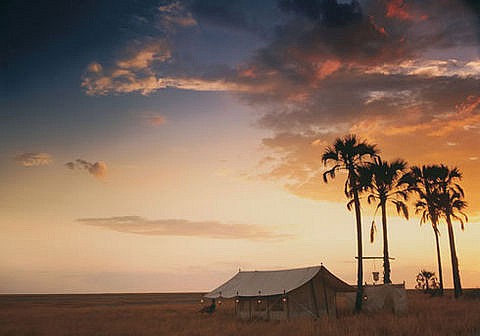 an-early-start-for-a-day-of-wildlife-watching-chobe-national-park-botswana-12726438422-tpfil02aw-9711.jpg