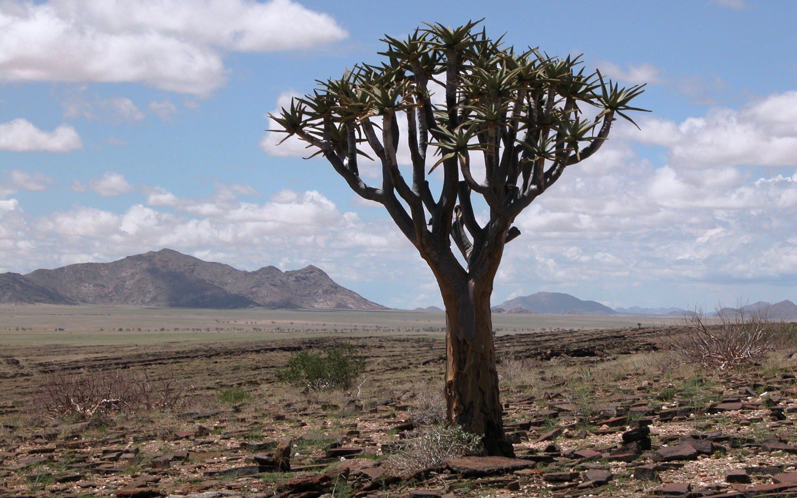 desert-to-delta-botswana.jpg