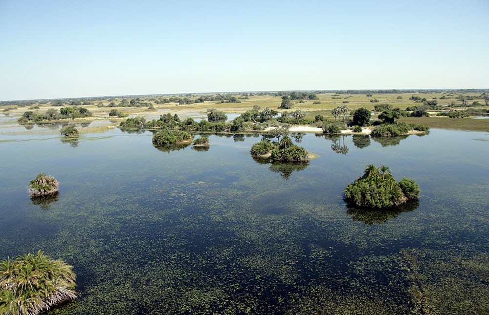 okavango_delta_074.jpg