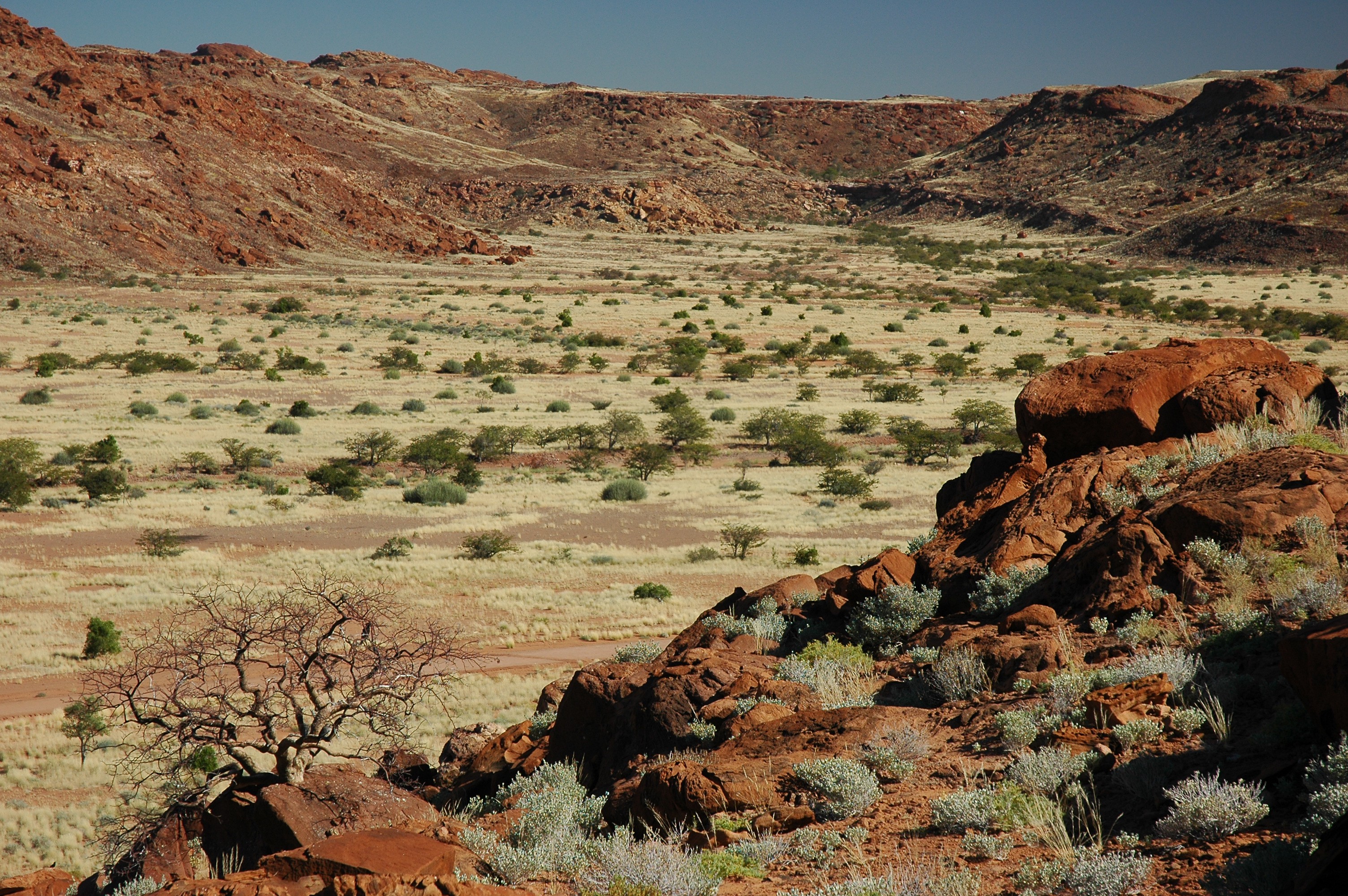 namibie_twyfelfontein_05.jpg